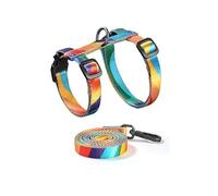 JSGHGDF Ensemble de matériel de marche pour chat fin et ventilé 50 g - Corde réfléchissante - Clip sécurisé pour adultes - Modifiable - Utilise du ruban de conjuration