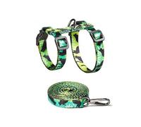 JSGHGDF Ensemble de matériel de marche pour chat fin et ventilé 50 g - Corde réfléchissante - Clip sécurisé pour adultes - Modifiable - Utilise du ruban de conjuration