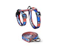 JSGHGDF Ensemble de matériel de marche pour chat fin et ventilé 50 g - Corde réfléchissante - Clip sécurisé pour adultes - Modifiable - Utilise du ruban de conjuration