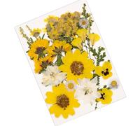 JSGHGDF Ensemble de matériel végétal séché pour décoration de cartes de vœux, décorations et projets d'art de la maison, marque-pages en forme de fleur pressée