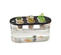 JSGHGDF Home Horticultures Conteneur hydroponique pour ajouter un attrait esthétique et pratique à la culture des plantes à l'intérieur Boîte de jardinage transparente