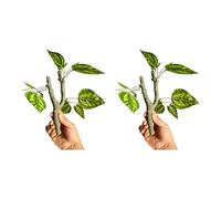 JSGHGDF Lot de 2 vignes grimpantes pour amphibiens et habitats favorisant l'exercice des reptiles - Comportement naturel - Accessoire de paysage - Branche de vigne d'escalade en résine pour terrariums
