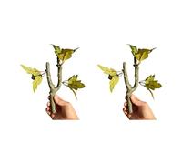JSGHGDF Lot de 2 vignes grimpantes pour amphibiens et habitats favorisant l'exercice des reptiles - Comportement naturel - Accessoire de paysage - Branche de vigne d'escalade en résine pour terrariums