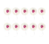 JSGHGDF Lot de 5 Manteaux de lampe double en rayonne pour lampes à kérosène et éclairage de camping