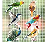 JSRQT 12 Pièce Aimants de Porte Moustiquaire Colibri Paon Aimants pour Moustiquaires Décoratifs Aimants Double Face Aimants pour Écran Aimants Décoratifs Mignon Screen Magnets Decal Aimant DéCoratif