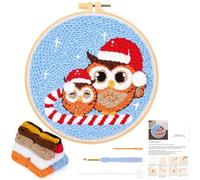 JSRQT Kit d'aiguilles à poinçonner de Noël pour débutants, kit de broderie hibou avec chapeau de Père Noël pour adultes et enfants, kit de crochet de point de croix avec outil pour décoration