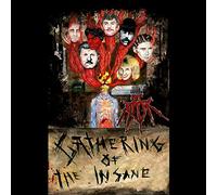 Jt Ripper - Gathering of the Insane (Vinyl)