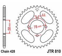 JT SPROCKETS Couronne acier standard 810 - 428