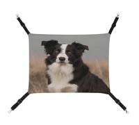JTKBNVM Hamac pour chat Border Collie Hamac pour animal domestique furet Hamac pour chats de grande taille Hamster Hamac doux à suspendre pour chat