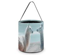 JTKBNVM Sac fourre-tout d'Halloween pour homme et femme - Motif alpaga sur l'herbe - Réutilisable - Seau à bonbons - Style : taille unique, Style :, Taille unique