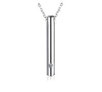 JTKSSCS Bijoux de Crémation en Forme Colliers d'urne for cendres de chien, bouteille en métal, bijoux crémation, Tube cylindrique, pendentif, ras du cou, 3 pièces(Silver)