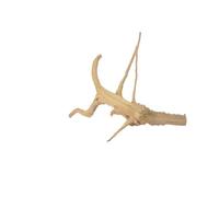 JTKSSCS Bois Flotté Tronc d'arbre en Bois flotté, 1 pièce, Micro Paysage, Ornement cylindrique for Aquarium, Racines de Coucou, Mort(15-20cm)