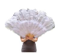 JTKSSCS Eventail de Danse en Plumes Éventail de Plumes for fête, Mariage, Spectacle Danse du Ventre, Bricolage décoratif, 13 os(Size 1,2PCS Left Hand)