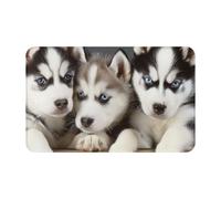 JTNWEC Husky Puppies Dogs Paillasson doux antidérapant pour cuisine et salle de bain 49,5 x 80 cm