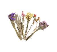 JTQYFI Arrangement de Fleurs séchées pour Les habitats de Hamster, améliore naturellement l'esthétique de la Cage, décors de Cage de Hamster, Bouquets de Fleurs séchées