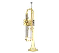 JTR 1100Q Trompette en Sib vernie