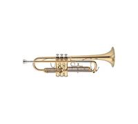 JTR700Q - Trompette (avec embouchure + étui)