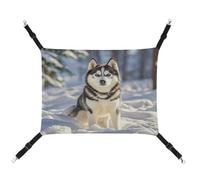 JTREWBV Hamac suspendu pour petit animal avec sangles réglables et crochets en métal Motif loup dans la neige