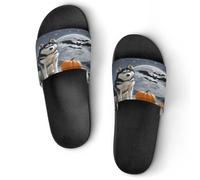 JTREWBV Pantoufles d'été pour femmes et hommes chauve-souris au clair de lune imprimé PVC pantoufles maison pantoufles chaussures de douche sandales de salle de bain antidérapantes, faciles à nettoyer