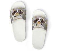 JTREWBV Pantoufles d'été pour homme et femme - Motif épagneul springer mignon - PVC - Chaussons d'intérieur - Chaussures de douche - Sandales de salle de bain - Antidérapantes - Faciles à nettoyer