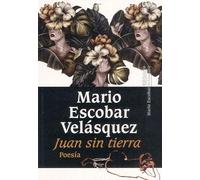Juan sin tierra