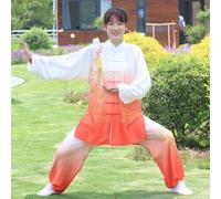 JuanNest Uniforme Kung Fu Arts Martiaux en Soie Lin Manches Longues Tai Chi Vêtements pour Exercices Qi Gong Kung Fu Wung Chun,Costume Traditionnel Chinois d'arts Martiauxi Classique B,XS(43-50kg)