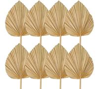JUATIE PièCes Feuilles de Palmier SéChéEs DéCorations Garni SéChé Palme Palm Fans Tropical SéChé Fleurs de Mariage Boho DéCor de Mariage
