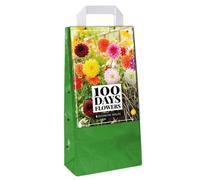 Jub - Mix 5 Bulbes Dahlias Déco