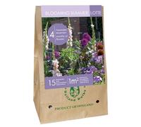 Jub - Mix Bulbes Fleurs été Mauves