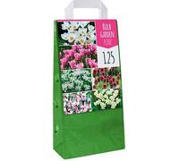 Jub - Mix de 125 Bulbes Roses pour Le Jardin