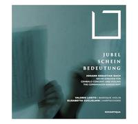 Jubel Schein Bedeutung/Sechs Sonaten Fur Cembalo Und Violino