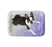 Jubepk Portable Dog Cooling Mat, Cat Cooling Pad, 19.69x15.75 inches Comfortable Compact Bed, Indoor Outdoor Crates, Travel Relaxation for Puppies, Rabbits, Hamsters Cats and Dogs