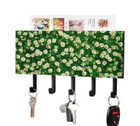 Jubonexis Champ d'herbe verte avec petites fleurs blanches et jaunes - Support mural pour courrier mural avec 5 crochets - Porte-clés en acrylique pour maison, bureau, entrée