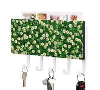 Jubonexis Champ d'herbe verte avec petites fleurs blanches et jaunes - Support mural pour courrier mural avec 5 crochets - Porte-clés en acrylique pour maison, bureau, entrée