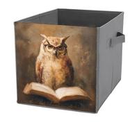 Jubonexis Cubes de rangement en forme de hibou vintage portant des lunettes de lecture, de livres, de livres, paniers de rangement pliables en tissu décoratif, organiseurs de maison avec poignées pour