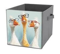 Jubonexis Cubes de rangement pliables avec trois oies portant des lunettes - En tissu décoratif - Avec poignées pour étagères et placards - 27 x 27 cm