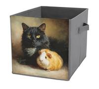 Jubonexis Cubes de rangement pliables en tissu décoratif avec poignées pour étagères, placards, cochon d'Inde et chat noir, 27 x 27 cm