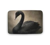Jubonexis Dark Academia - Tapis de salle de bain vintage cygne noir, tapis de sol en velours corail, absorption rapide de l'eau, antidérapant, confortable, 40 x 60 cm