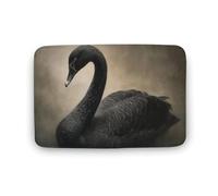 Jubonexis Dark Academia Tapis de salle de bain vintage en velours corail extra doux, absorption rapide de l'eau, antidérapant, confortable, 50 x 80 cm