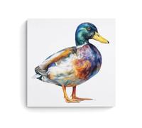 Jubonexis Impression sur toile aquarelle d'un canard aux couleurs vives - Impression esthétique pour salon et ferme - 40 x 40 cm - Sans cadre