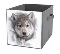 Jubonexis Wolf Peeking Out of A Hole Cubes de rangement pliables en tissu décoratif avec poignées pour étagères, placards, 27 x 27 cm