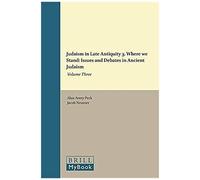 Judaism In Late Antiquity 3. Where We Stand: Issues And Debates In Ancient Judaism
