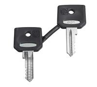 Schneider Electric Clé de rechange 1 pc(s)