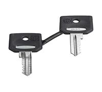 Schneider Electric ZBG421E Clé de rechange 1 pc(s)