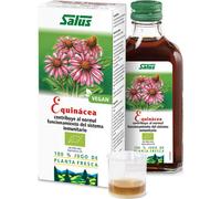 Suc naturel de plantes médicinales Rudbeckia-échinacée