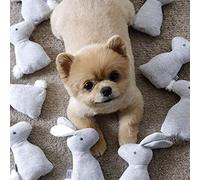 Juguetes Divertidos para masticar Perros, juguete para masticar de Conejo chirriante interactivo de Felpa Suave, juguetes para morder de perro, juguetSchön