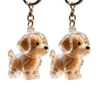 JUGUTA 2 Pièces Porte-Clés Collecteur De Poils De Chien - Boîte De Rangement Commémorative Pour Poils D'Animaux De Compagnie - Transparent - Jolie Boîte À Souvenirs En Fourrure Pour Animal