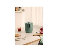 JUICER RETRO - Presse-agrumes Électrique 90W Sauge