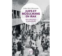 Juifs Et Musulmans En Irak - Des Origines À Nos Jours