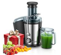 Juilist Extracteur de Jus 800W Inox Grande Bouche 75mm 2 Vitesses